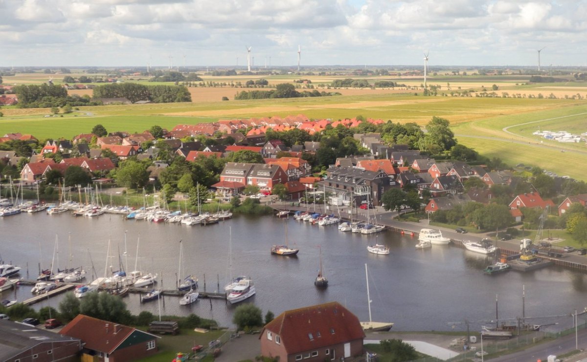 Nordsee Wangerooge Seehund Robbe Heuler