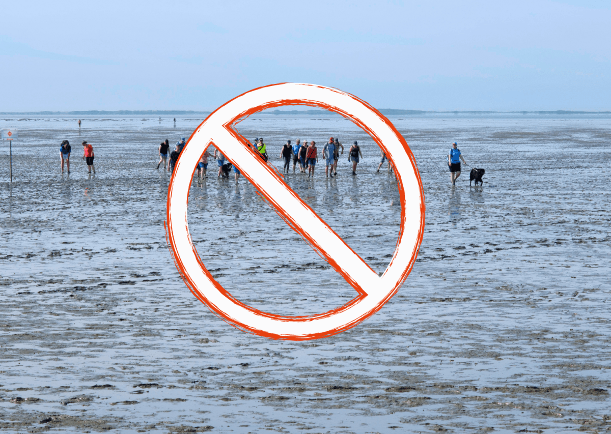 Nordsee Watt.png