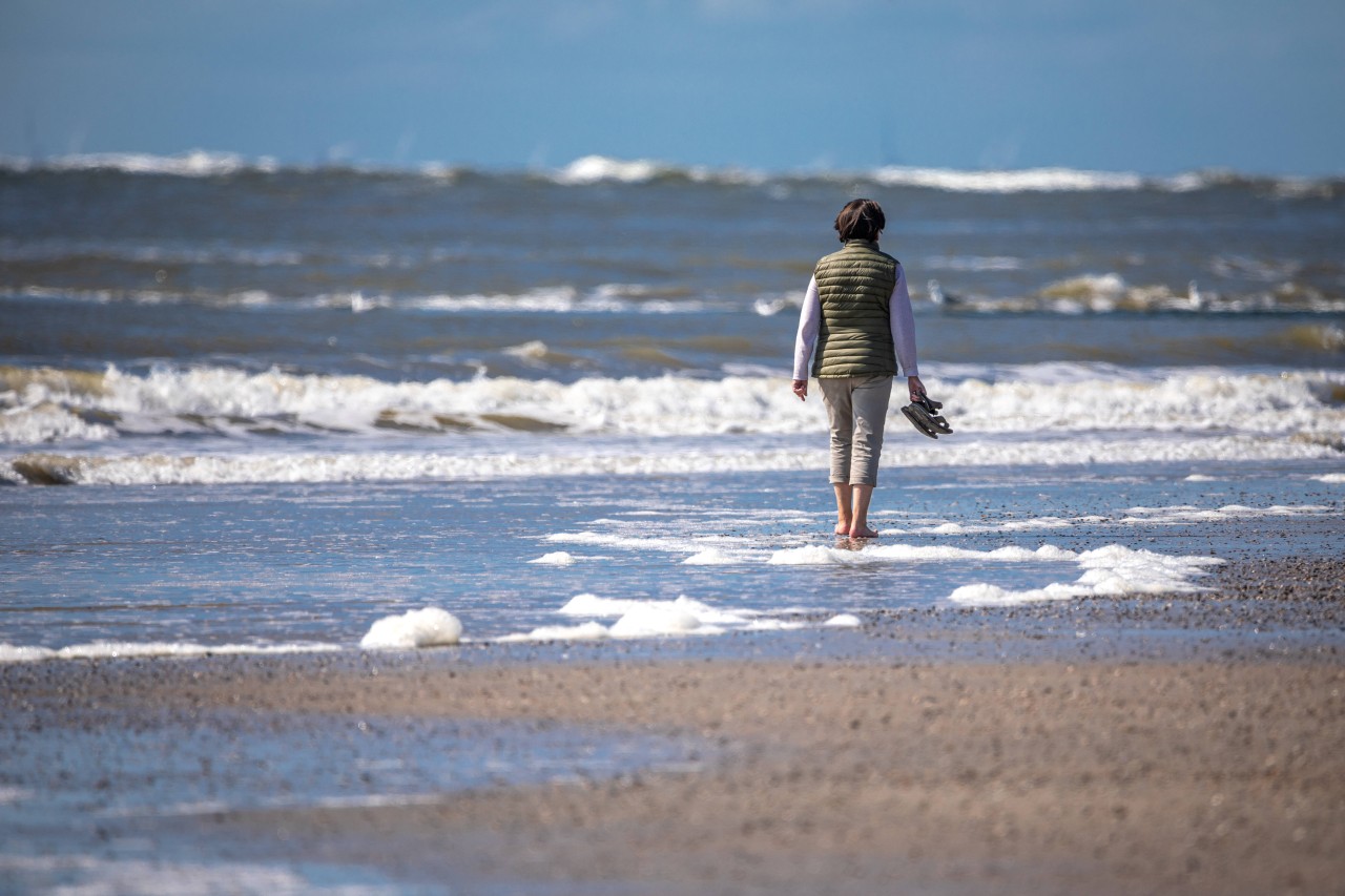 Steigende Temperaturen im Wattenmeer der Nordsee – klingt verlockend, ist aber gefährlich.