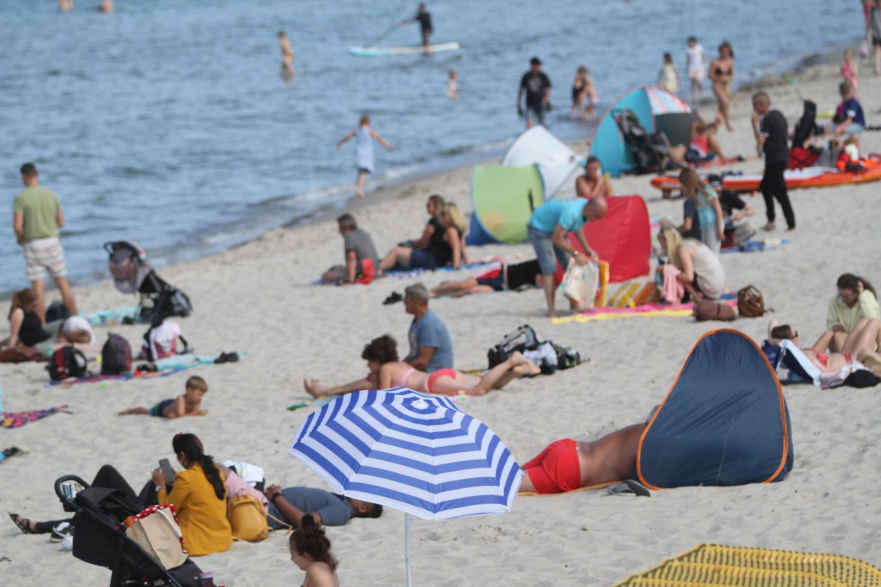 Die meisten Urlauber am Ostsee-Strand beschäftigen sich nicht damit, was sich im Wasser alles verbirgt