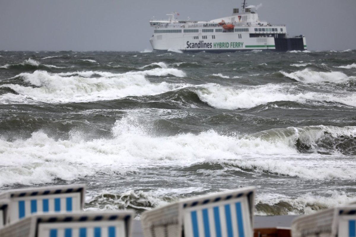 Ostsee Fehmarn Fischerei Fangquoten Überdüngung Fehmarnbaltquerung Klimawandel Klimakrise Urlaub Insel