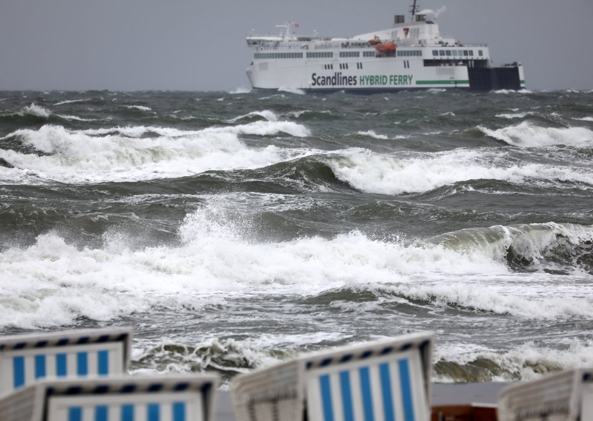 Ostsee Fehmarn Fischerei Fangquoten Überdüngung Fehmarnbaltquerung Klimawandel Klimakrise Urlaub Insel