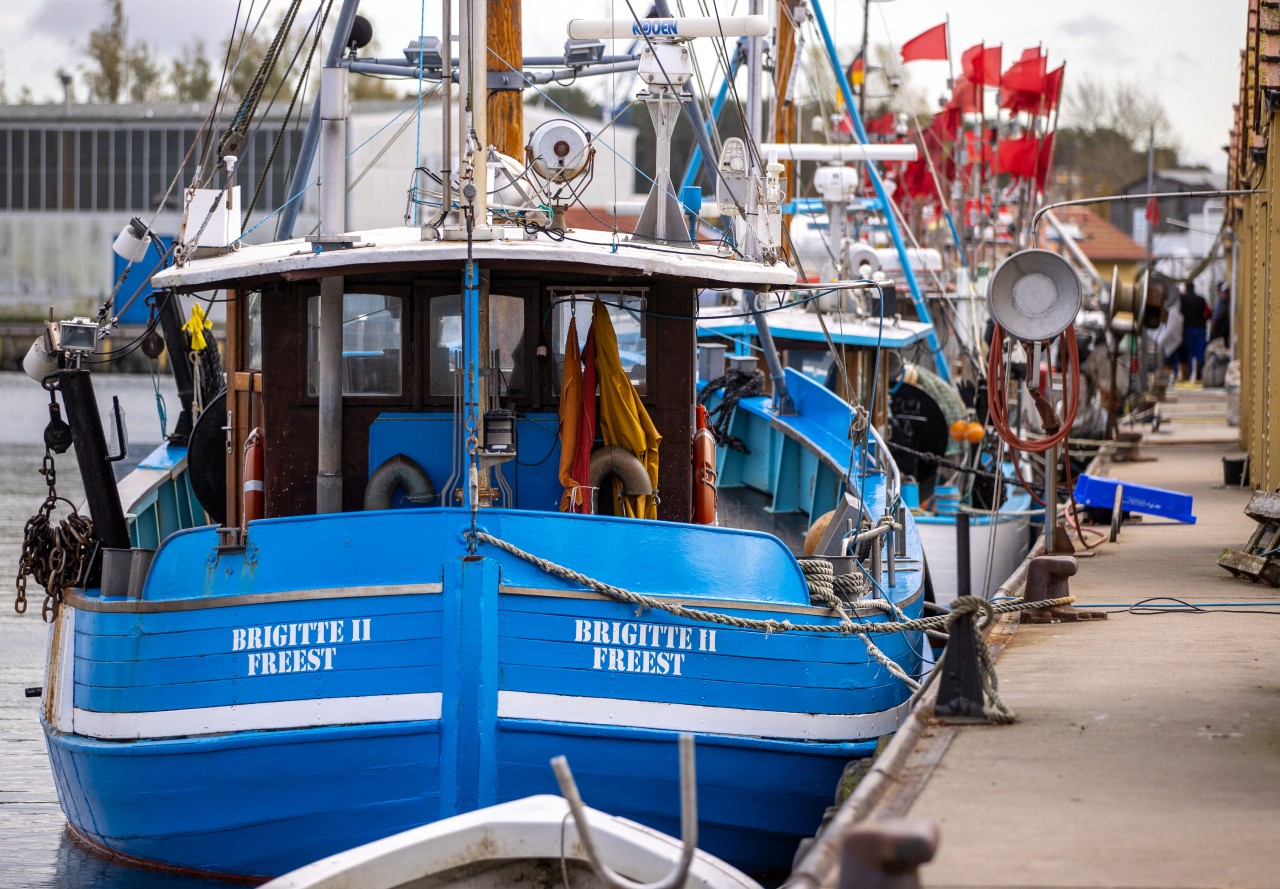 Fischkutter an der Ostsee. Hunderte Fischer an der Küste sind in große Not geraten.