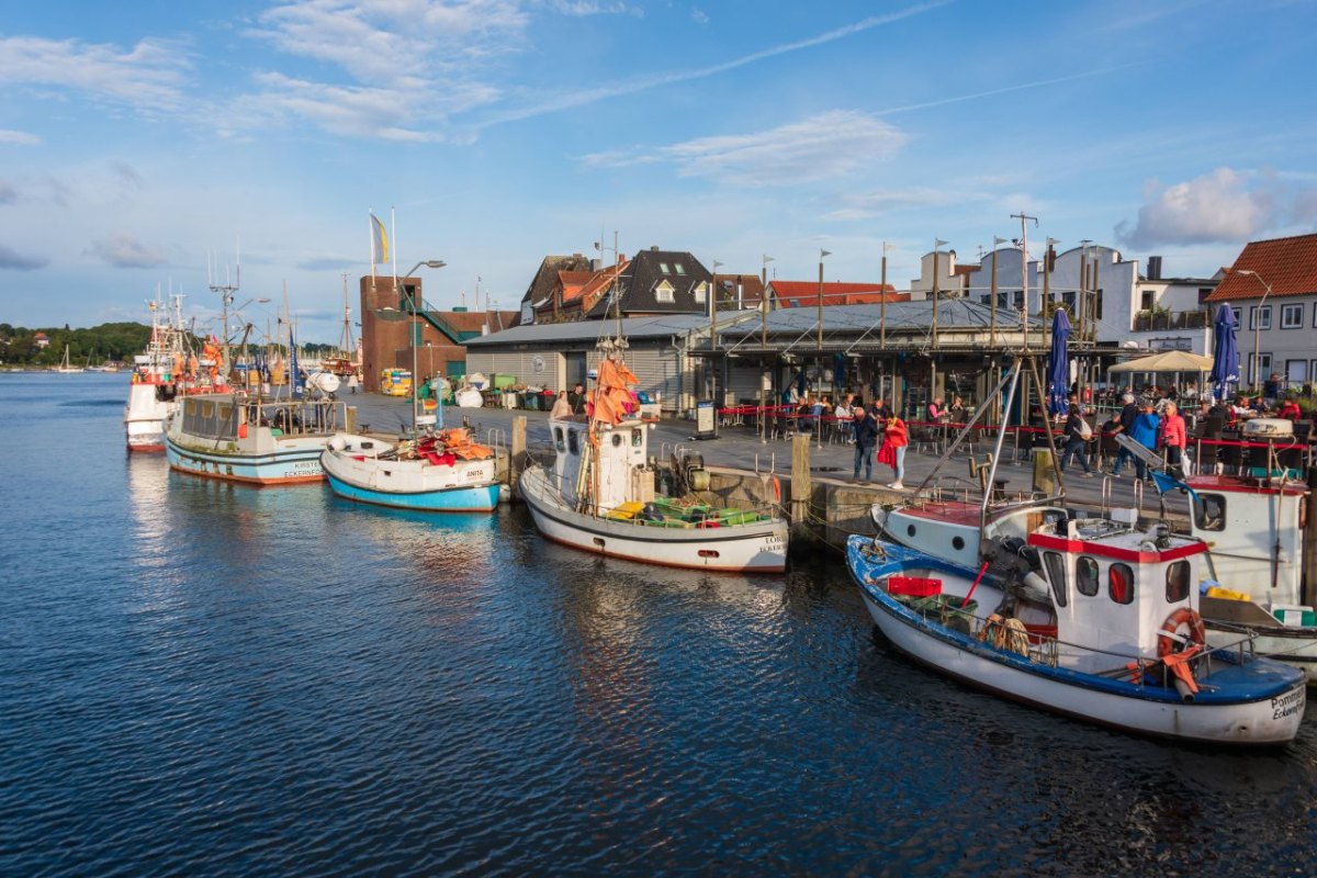 Ostsee Fischerei Hering Dorsch Schleswig-Holstein Klimawandel Grüne FDP