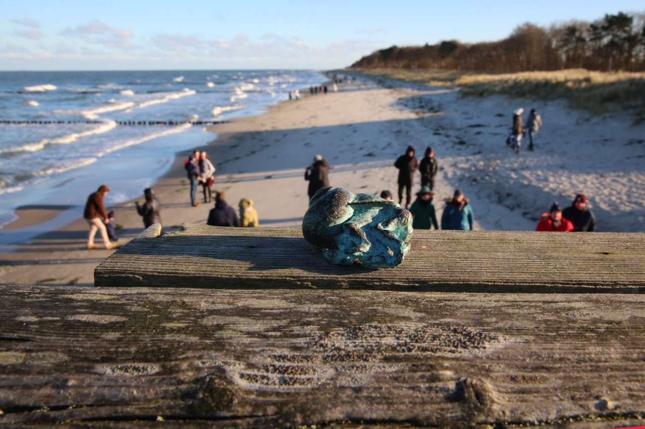 Ostsee: Blick auf einen Strandabschnitt auf Zingst.