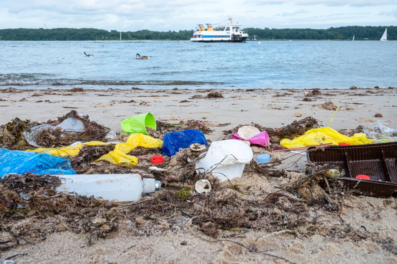 Plastikmüll an einem Strand an der Ostsee.