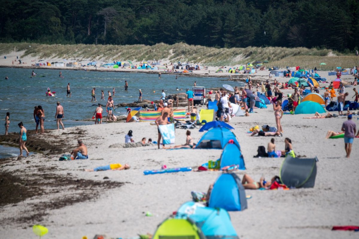 Ostsee Rügen Binz Prora Müll Strand Reinigen Aufräumen Warnemünde Reinigung