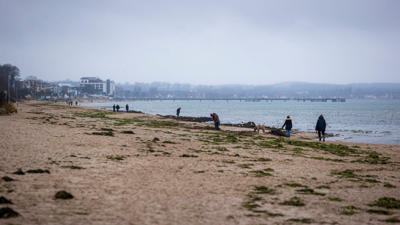 Am Ostsee-Strand in Timmendorf hat eine Frau eine heftige Entdeckung gemacht. Es sorgt für Ärger bei ihr und anderen Anwohnern (Symbolbild). 