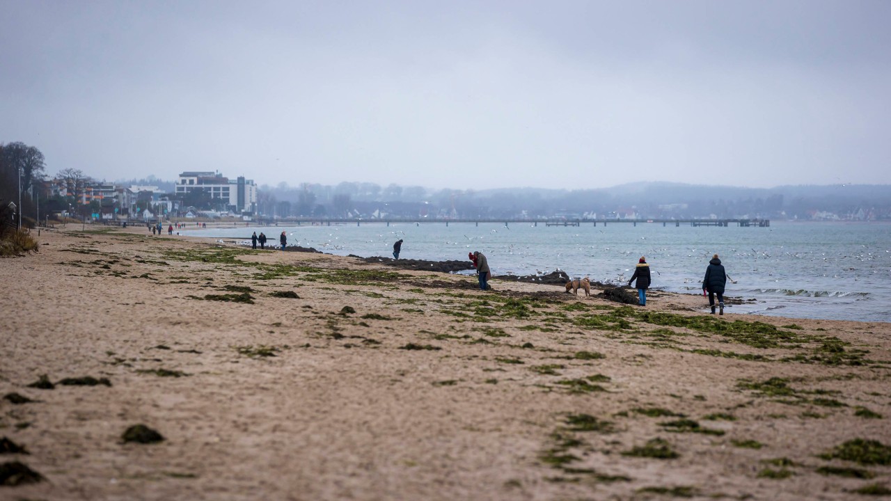 Am Ostsee-Strand in Timmendorf hat eine Frau eine heftige Entdeckung gemacht. Es sorgt für Ärger bei ihr und anderen Anwohnern (Symbolbild). Am Ostsee-Strand in Timmendorf hat eine Frau eine heftige Entdeckung gemacht. Es sorgt für Ärger bei ihr und anderen Anwohnern (Symbolbild).