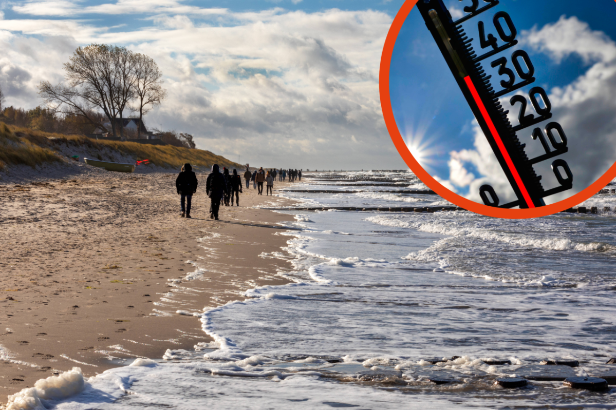 Ostsee Universität Rostock Forscher Klimawandel.png