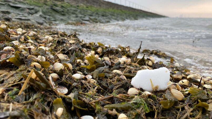 Paraffinfund in Butjadingen am Nordsee-Strand