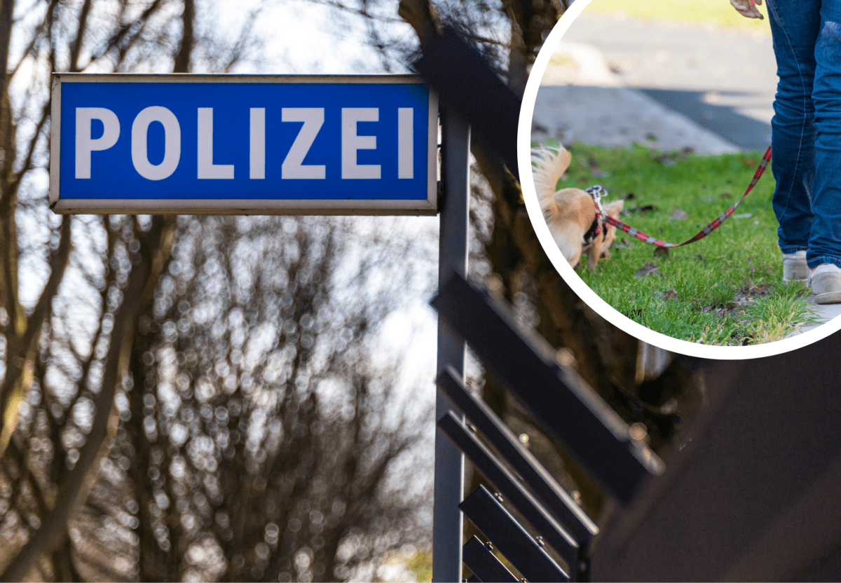 Polizei Hund.png