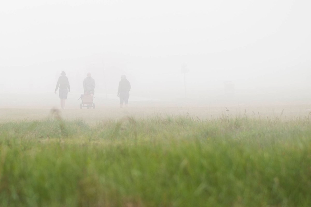 Rostock Polizei Feuerwehr Wald Einsatz Familie Verirrt Spaziergang Nebel