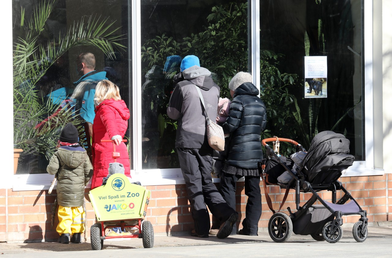 Besucher sind im Zoo in Rostock unterwegs (Archivbild).