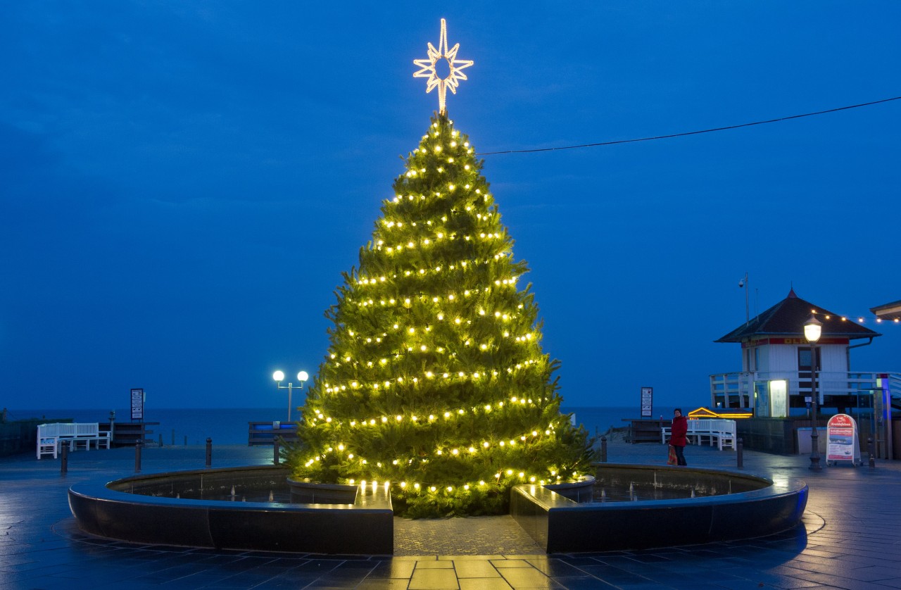 Ein illuminierter Weihnachtsbaum steht auf der Strandpromenade auf der Insel Rügen.