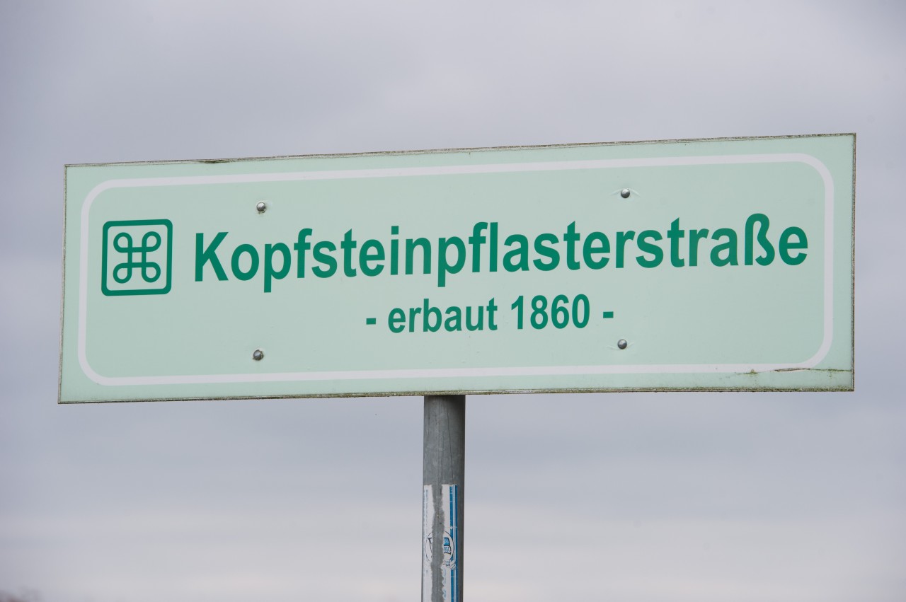 Eine alte Kopfsteinpflasterstraße führt in den Ort Promoisel.