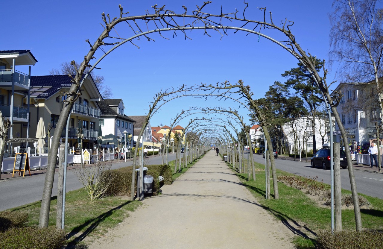 Rügen: Auf der Promenade in Baabe haben sich in der vergangenen Woche widerliche Szenen abgespielt (Symbolbild). 