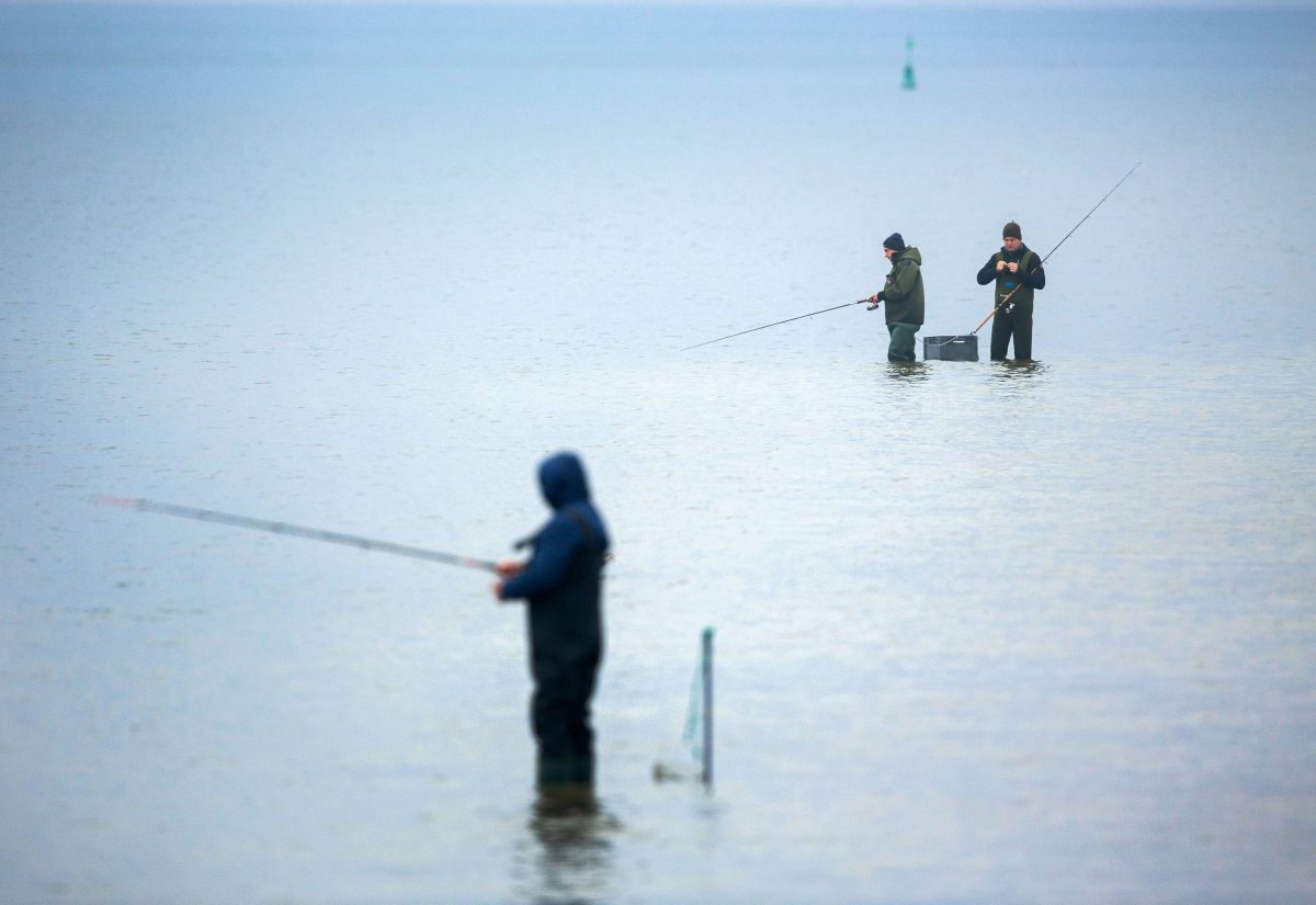 Rügen Fische Umwelt Angeln Ostsee Urlaub