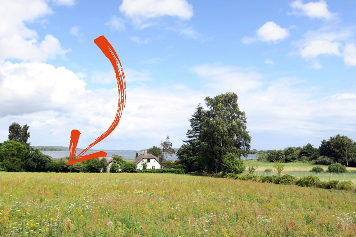 Rügen_Insel.jpg