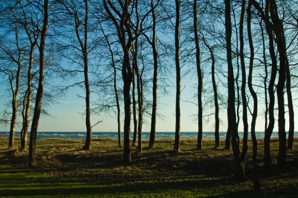 Rügen Ostsee lost Places verlassene Orte Wald Youtube Urlaub Video