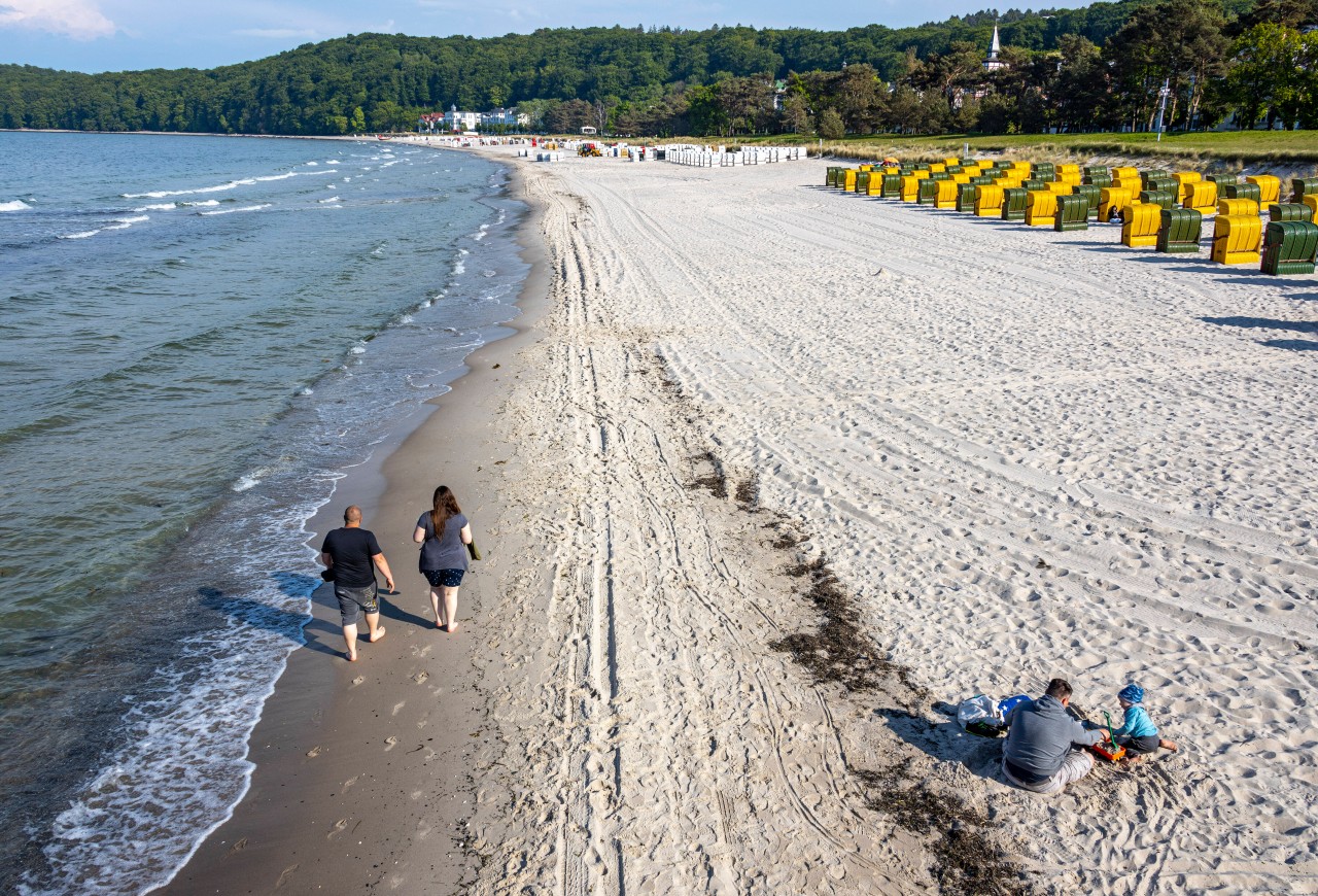 Wer hier auf der Insel Rügen spazieren geht, wird schnell vor eine Herausforderung gestellt.