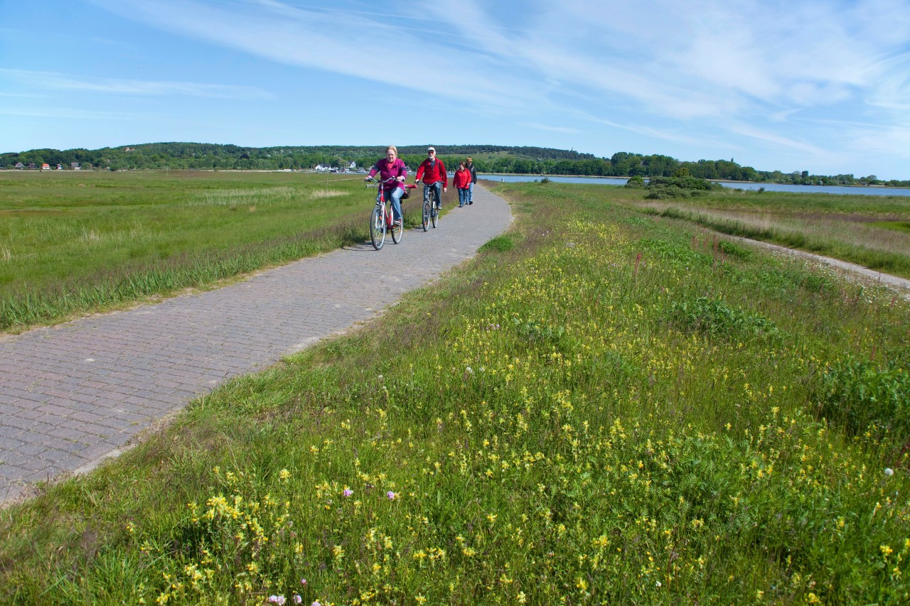 Radfahrer auf Rügen und Usedom können eine spezielle Route abfahren.