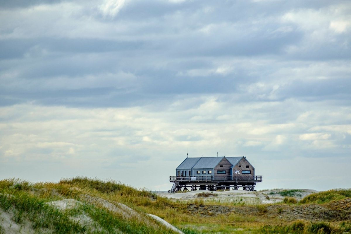 Sankt Peter-Ording Dünen Strand.jpg