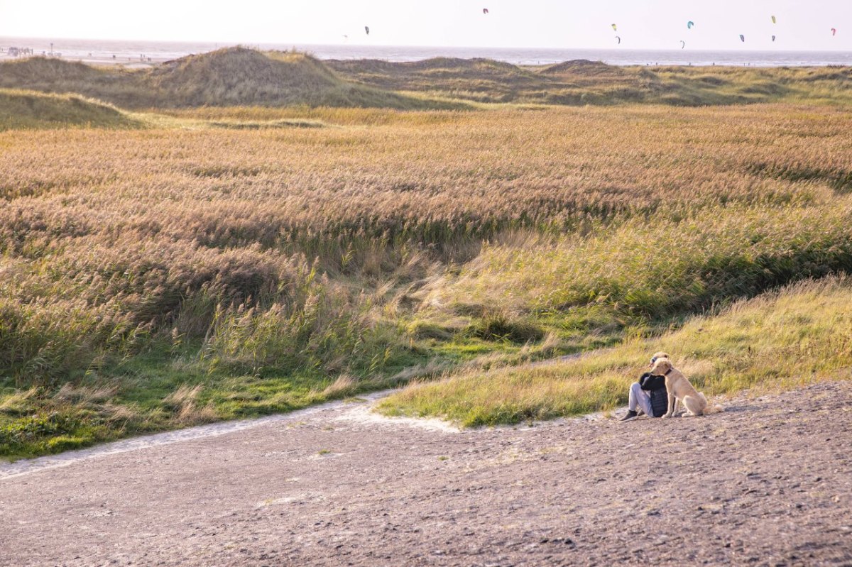 Sankt Peter-Ording Nationalpark Wattenmeer.jpg