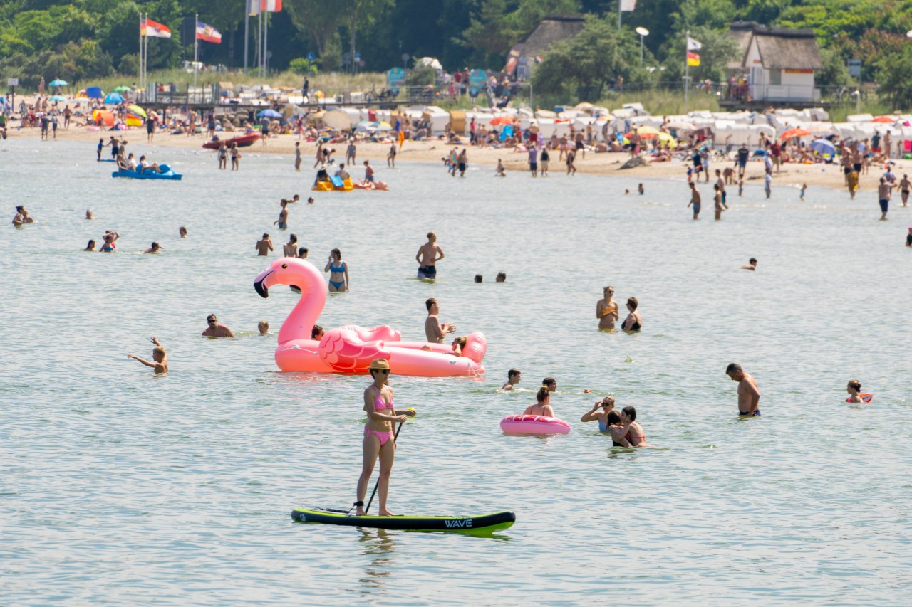 An der Ostsee drohen Probleme aus dem letzten Jahr in dieser Saison zu eskalieren.