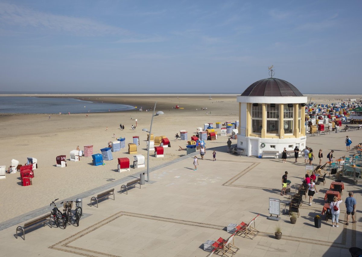 Strand Borkum Nordsee Seestachelbeere Glitzerding