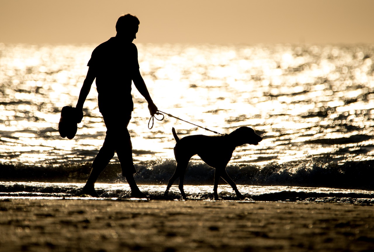 Ein Mann mit seinem Hund am Strand.