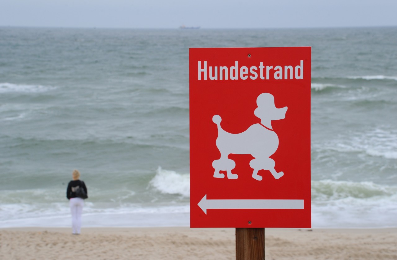 Hundestrand auf Sylt.