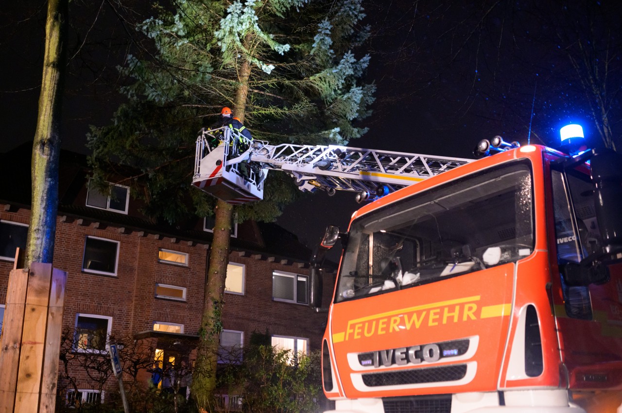 Feuerwehrleute fällen vorsorglich eine Fichte vor einem Mehrfamilienhaus in Hamburg, die aufgrund ihrer flachen Wurzeln und dem aufgeweichten Boden umzustürzen droht.