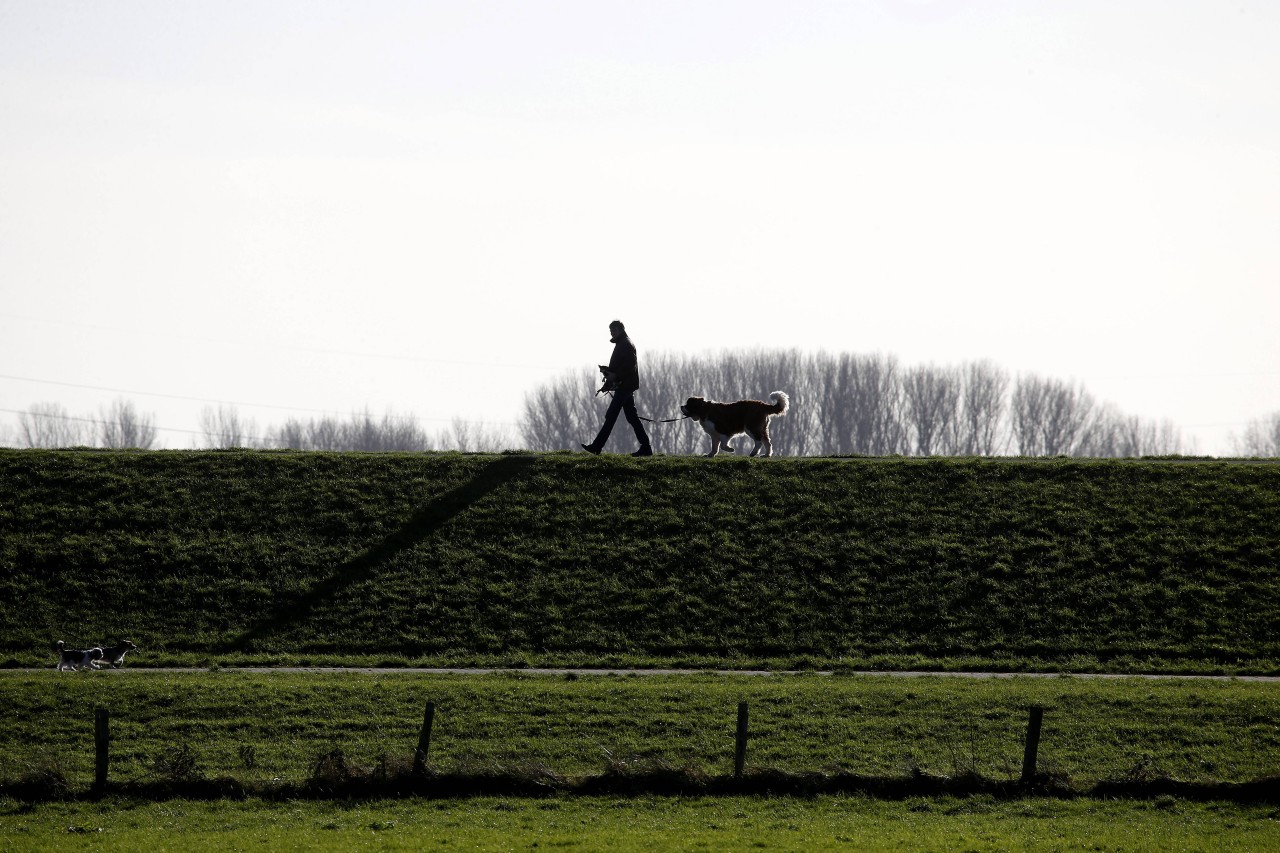 Spaziergänger auf Sylt und an der Nordsee generell haben sich an die Regeln zu halten. Die Person im Bild macht es richtig.