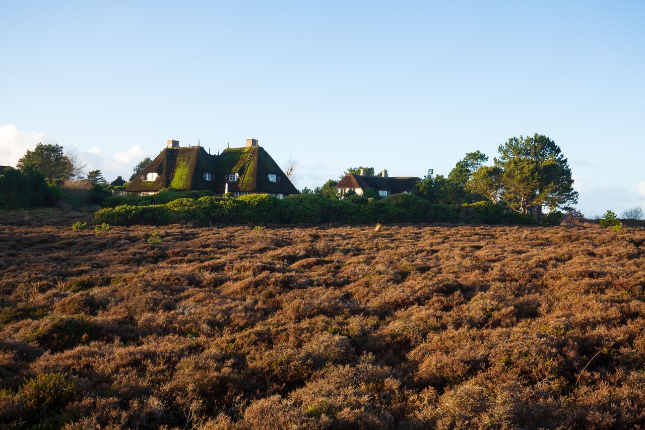 Schön, aber auch verdammt teuer: Immobilien auf Sylt. (Symbolbild)