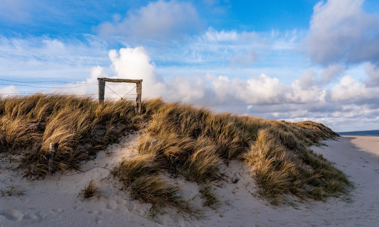 List auf Sylt ist eigentlich für seine idyllische Naturlandschaft bekannt.