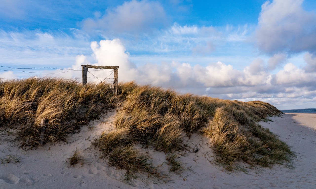 List auf Sylt ist eigentlich für seine idyllische Naturlandschaft bekannt.