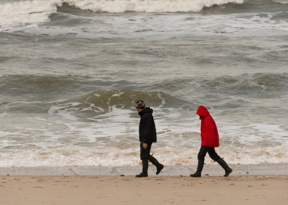 Sylt Kampen Insel Besucher.jpg