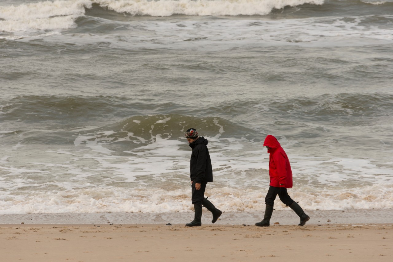 Bei diesem Anblick auf Sylt kam ein Insel-Besucher sichtlich ins Staunen (Symbolbild). 