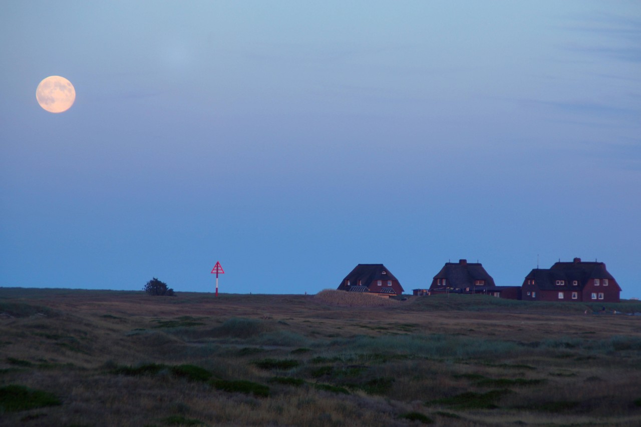 Auf Sylt kann man bei klarem Wetter bestens den Nachthimmel beobachten. 