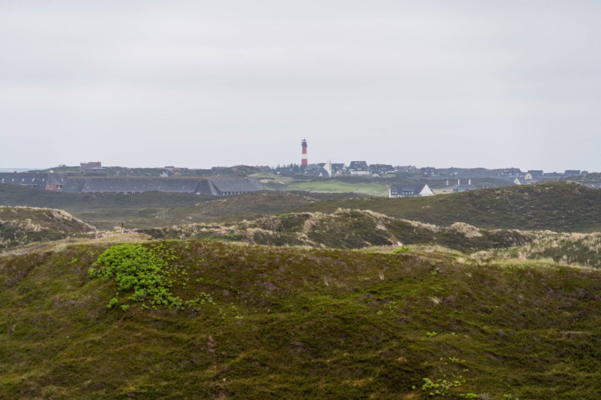 Sylt Nordsee Dünen.jpg