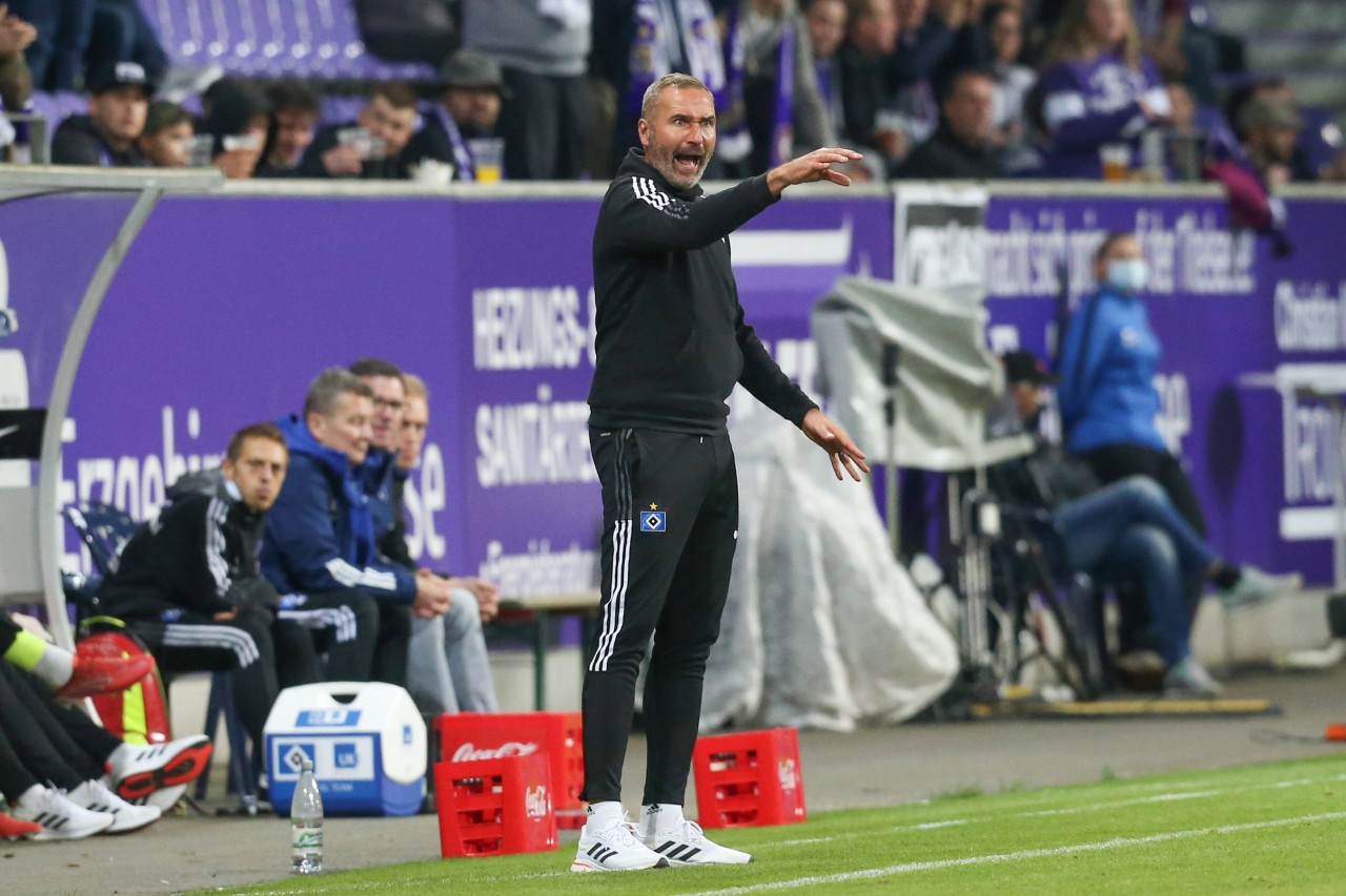 HSV-Trainer Tim Walter beim Spiel Erzgebirge Aue gegen den Hamburger SV