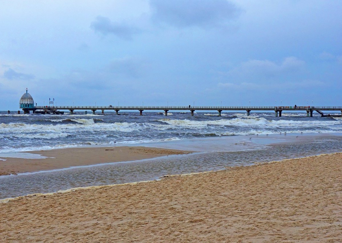 Usedom Insel Ostsee Nordsee Foto Möwe Futter Fütterungsverbot Heringsdorf