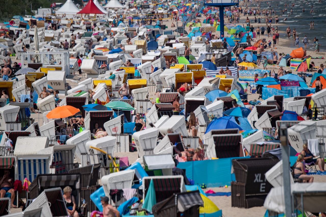 Usedom im Sommer: Vor lauter Strandkörben sieht man den Sand nicht mehr.