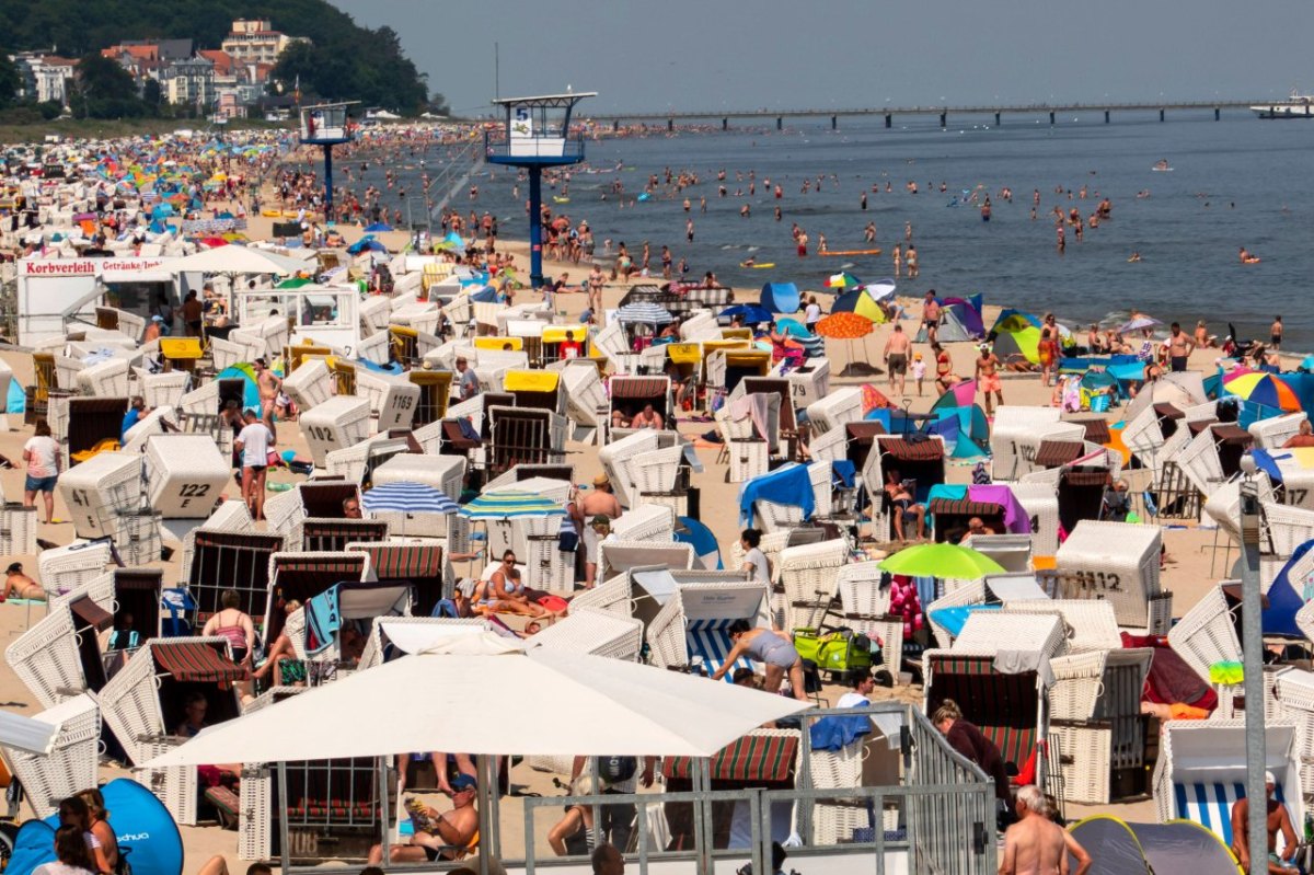 Usedom Kinder Eltern Strand Ostsee Urlaub Tiere Baden