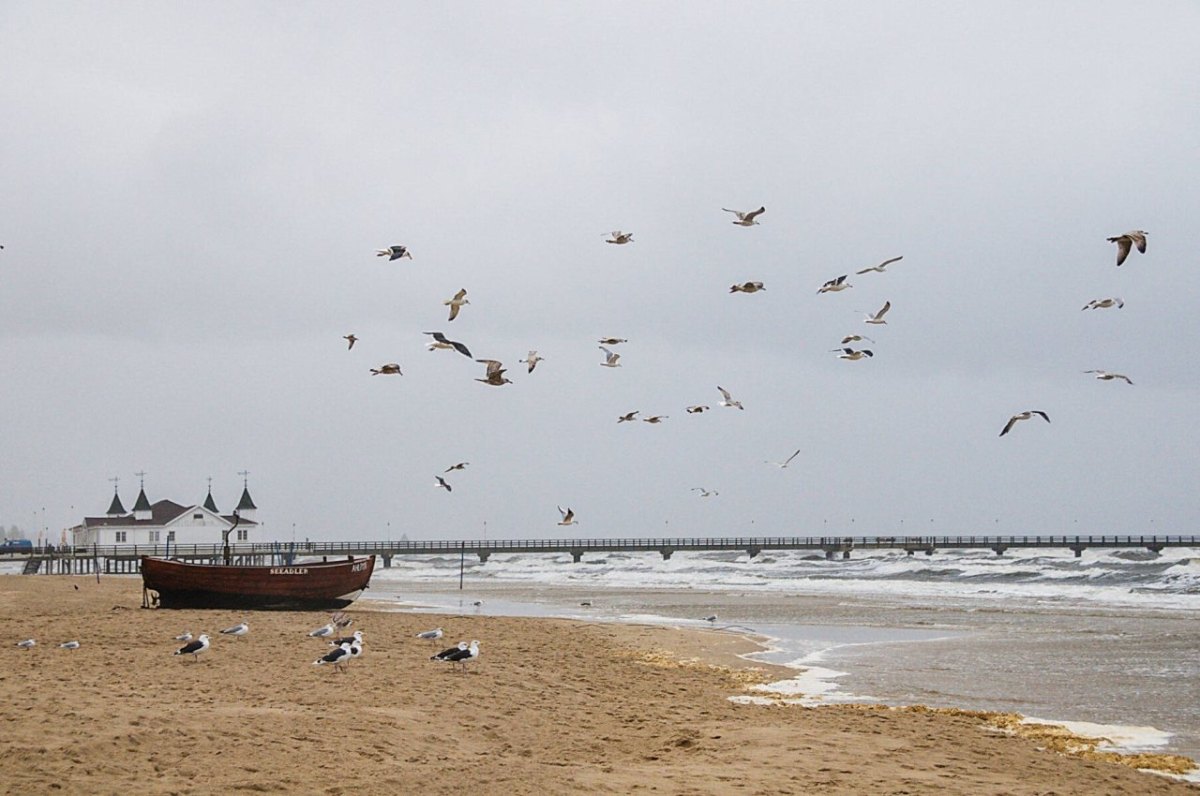 Usedom Ostsee Strand Heringsdorf