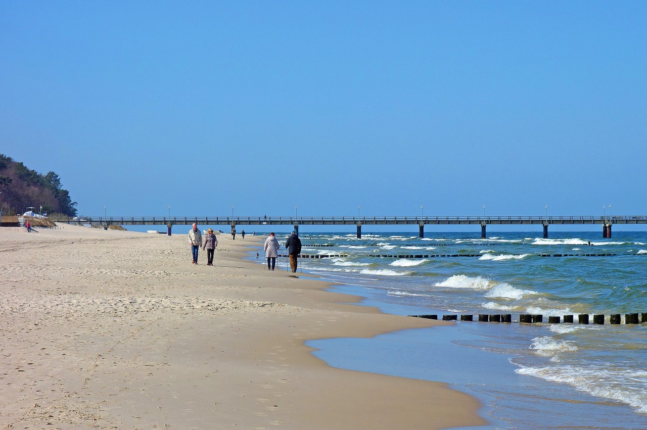 Diese Begegnung auf Usedom veränderte das Leben von einem Paar aus NRW (Symbolbild). 