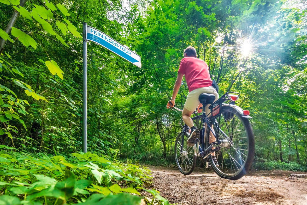 Rügen und Usedom: Radfahrer auf dem Lyonel-Feininger-Radweg.