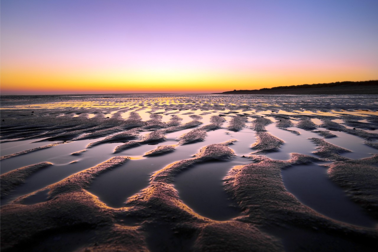 Das Wattenmeer bei Sonnenaufgang – Lebensraum für zahlreiche Tiere und Pflanzen