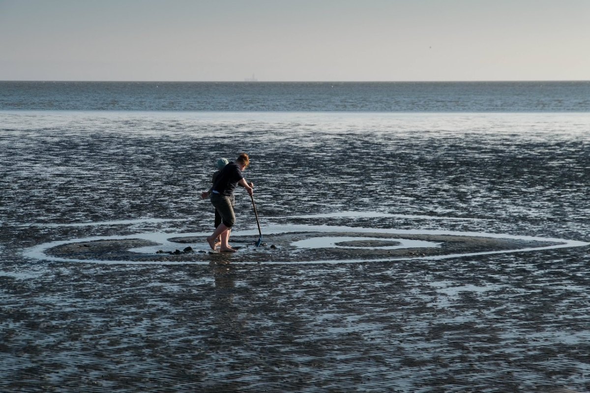 Wattenmeer Nordsee